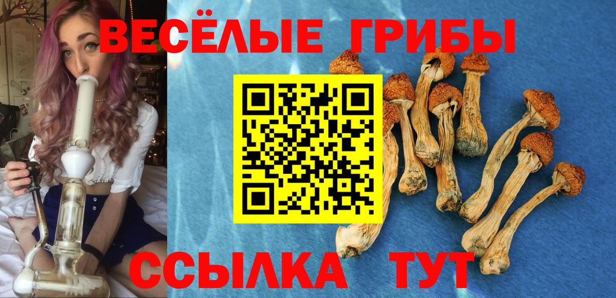 Псилоцибиновые грибы MAGIC MUSHROOMS  Вход с VPN  Сегежа 